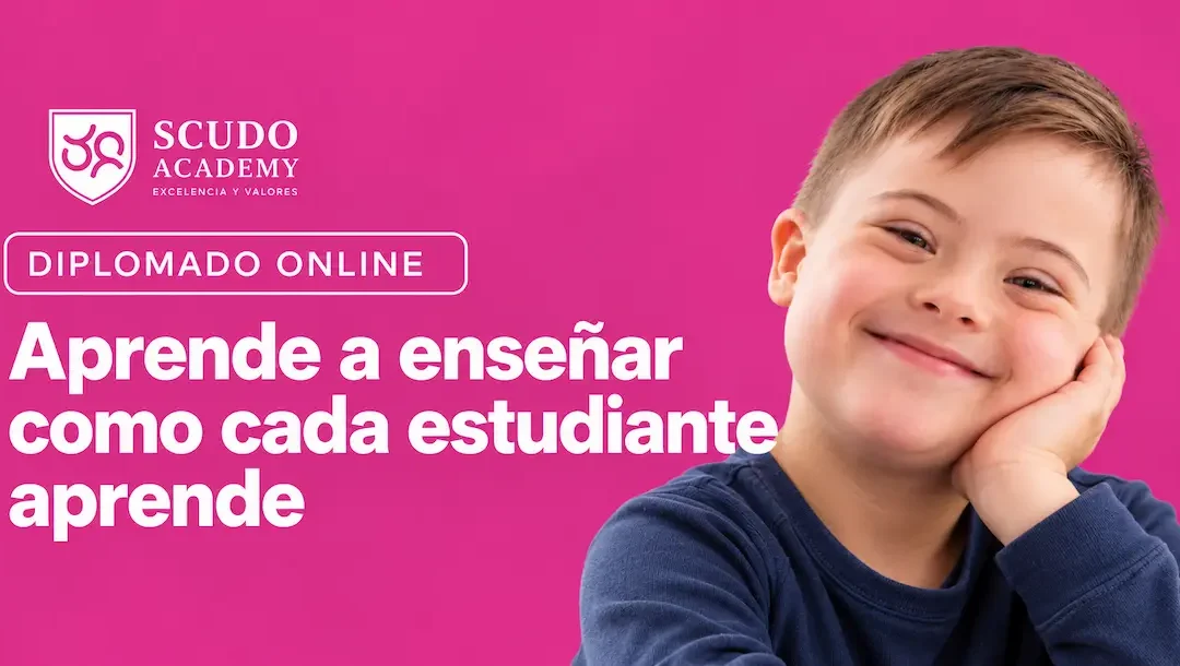 Diplomado en Educación Inclusiva con Diseño Universal para el Aprendizaje (DUA)
